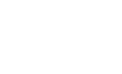 LAND ROVER Camshaft Phase Regulater(VVT)